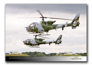 FFD-108 - Army Air Corps Westand Gazelle AH.1�s - Serial XZ338 (Msn 1682) and XX447 (Msn 1439)