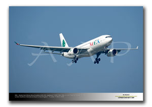LHR-262 - MEA - Middle East Airlines Airbus Industries A330-243 - F-OMEC (Msn 532)